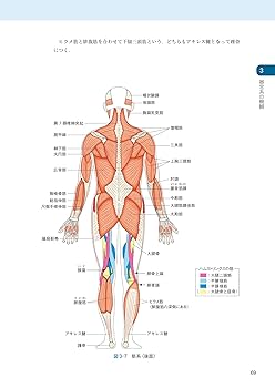 解剖生理学1から3弾おまとめ！➕USB 解剖生理学1から3弾おまとめ！➕USB Amazon.co.jp 売れ筋